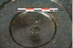 Foto von Bronzephalere (NHMW-PRAE-026092)